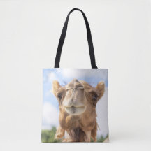 ラクダポートレート