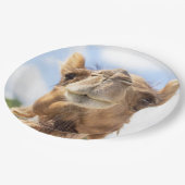 ラクダポートレート ペーパープレート (アングル)