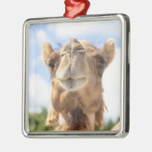 ラクダポートレート メタルオーナメント (左)