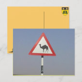 ラクダ交差点 ポストカード (正面/裏面)