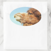 ラクダ動物ポートレート写真 楕円形シール (バッグ)