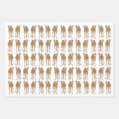 ラクダ包装紙シート ラッピングペーパーシート (正面3)