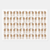 ラクダ包装紙シート ラッピングペーパーシート (正面)