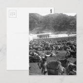 ラクダ市場，アデン，イエメン1902 ポストカード (正面/裏面)