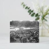 ラクダ市場，アデン，イエメン1902 ポストカード (スタンド正面)