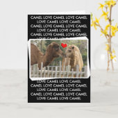 ラクダ愛-境界無し カード (黄色い花)