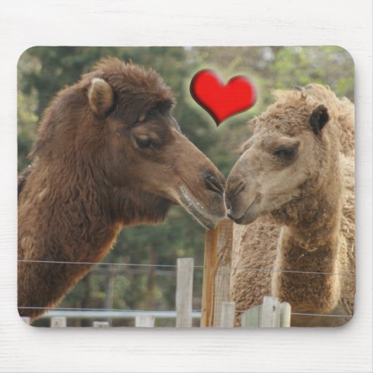 ラクダ愛-境界無し マウスパッド (正面)