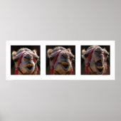 ラクダ顔 ポスター (正面)