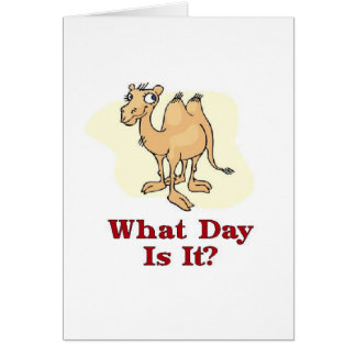 ラクダ-それはどんな日ですか。