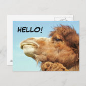 ラクダ – はがき (正面/裏面)