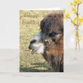 ラクダ カード (黄色い花)