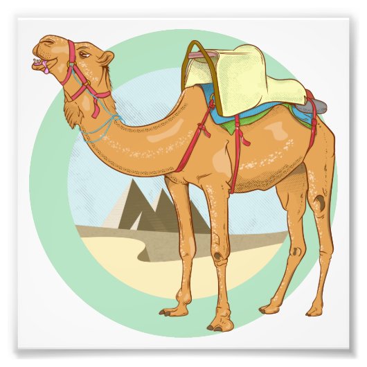 ラクダ・ギザ・ピラミッド フォトプリント            (正面)