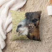 ラクダ クッション (ブランケット)