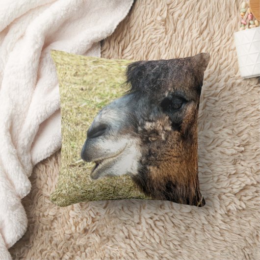 ラクダ クッション (ブランケット)