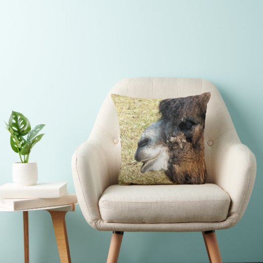 ラクダ クッション (椅子)