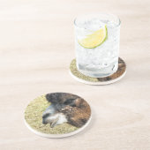 ラクダ コースター (側面)