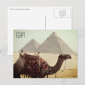 ラクダ・ピラミッド・エジプト ポストカード (正面/裏面)