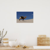 ラクダ ポスター (キッチン)