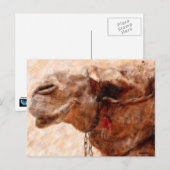 ラクダ ポストカード (正面/裏面)