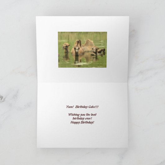 ラクダ・ユム カード (内部)