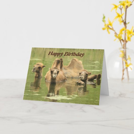 ラクダ・ユム カード (黄色い花)