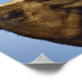 ラクダ，ラクダ市場，カイロ，エジプト ポスター (角)