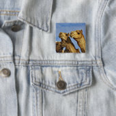 ラクダ，ラクダ市場，カイロ，エジプト 缶バッジ (インサイチュ)