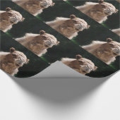 ラクダ ラッピングペーパー (角)