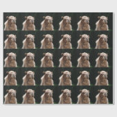 ラクダ ラッピングペーパー (フラット)