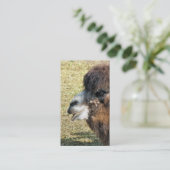 ラクダ 名刺 (スタンド正面)