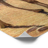 ラクダbyルイ・サージェント,ヴィンテージ野生動物 ポスター (角)