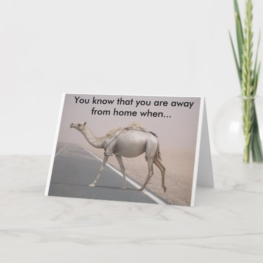 ラクダc シーズンカード (正面)