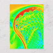 ラクロススティックスカラフルポーツティーンフォトアート ポストカード (正面)