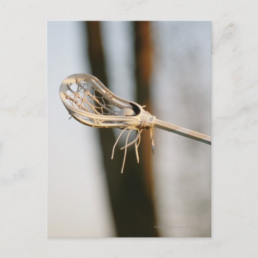 ラクロススティック ポストカード (正面)