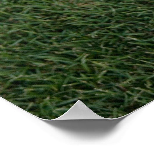 ラクロス棒 ポスター (角)