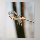 ラクロス棒 ポスター (正面)