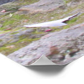 ラクーンのアドバイス ポスター (角)