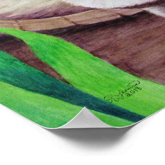 ラクーンのポスター ポスター (角)