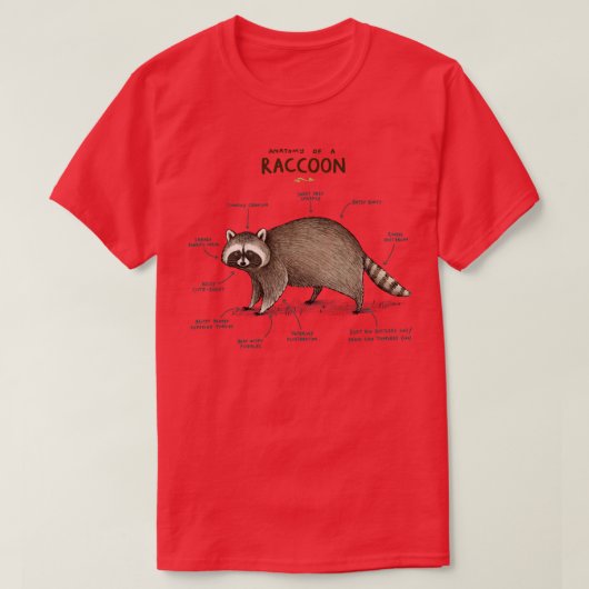 ラクーンの解剖学 Tシャツ (デザイン正面)