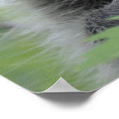 ラクーンプリント- #1028 ポスター (角)