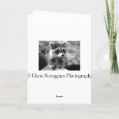 ラクーンベレーテッド誕生日 カード (裏面)