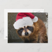 ラクーンメリークリスマス シーズンポストカード (正面/裏面)