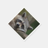 ラクーン写真 スタンダードカクテルナプキン (角)