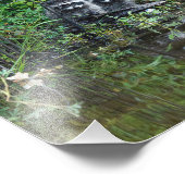 ラクーン反射 フォトプリント            (角)