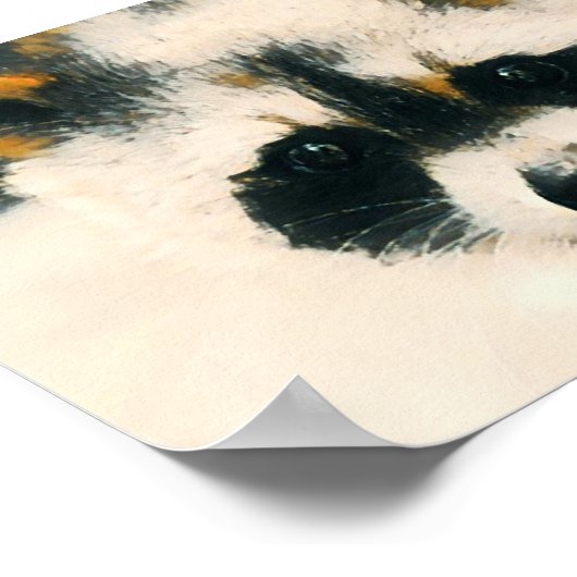 ラクーン愛好家 ポスター (角)