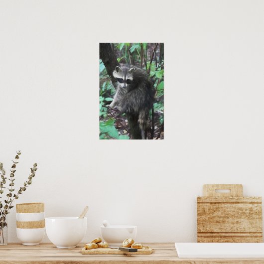 ラクーン放出 ポスター (キッチン)