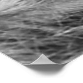 ラクーン白黒ポートレートポスター ポスター (角)