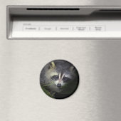 ラクーン磁石 マグネット (インサイチュ (食洗機))