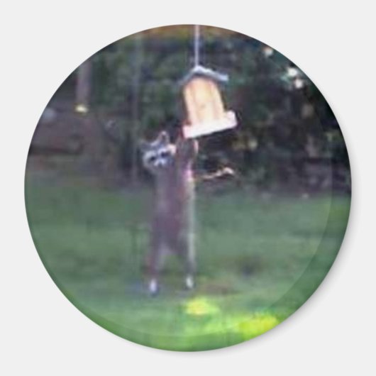 ラクーン警部 マグネット (正面)