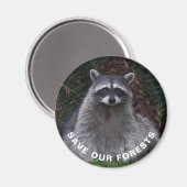 ラクーン野生生物写真森林保護 マグネット (正面/裏面)